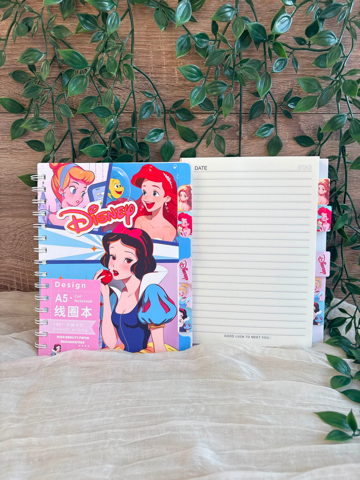 Disney Princess Notebook